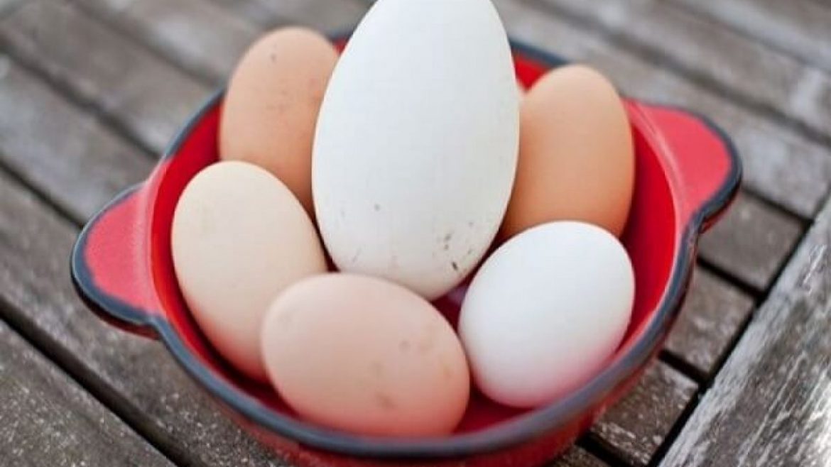 Danh sách 5 món ăn được chế biến từ trứng ngỗng tốt cho bà bầu