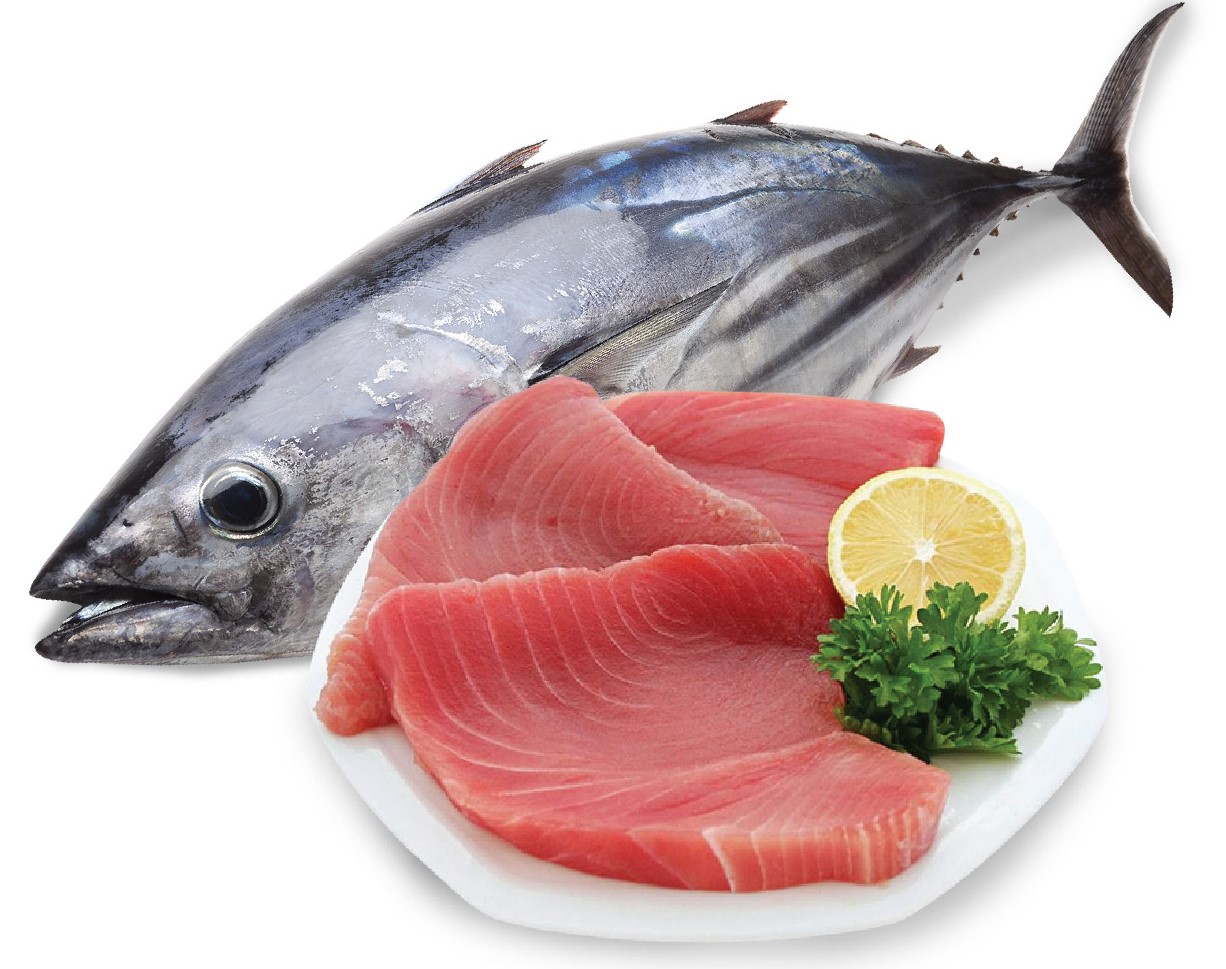 Cá biển là loại thực phẩm rất nhiều chất dinh dưỡng