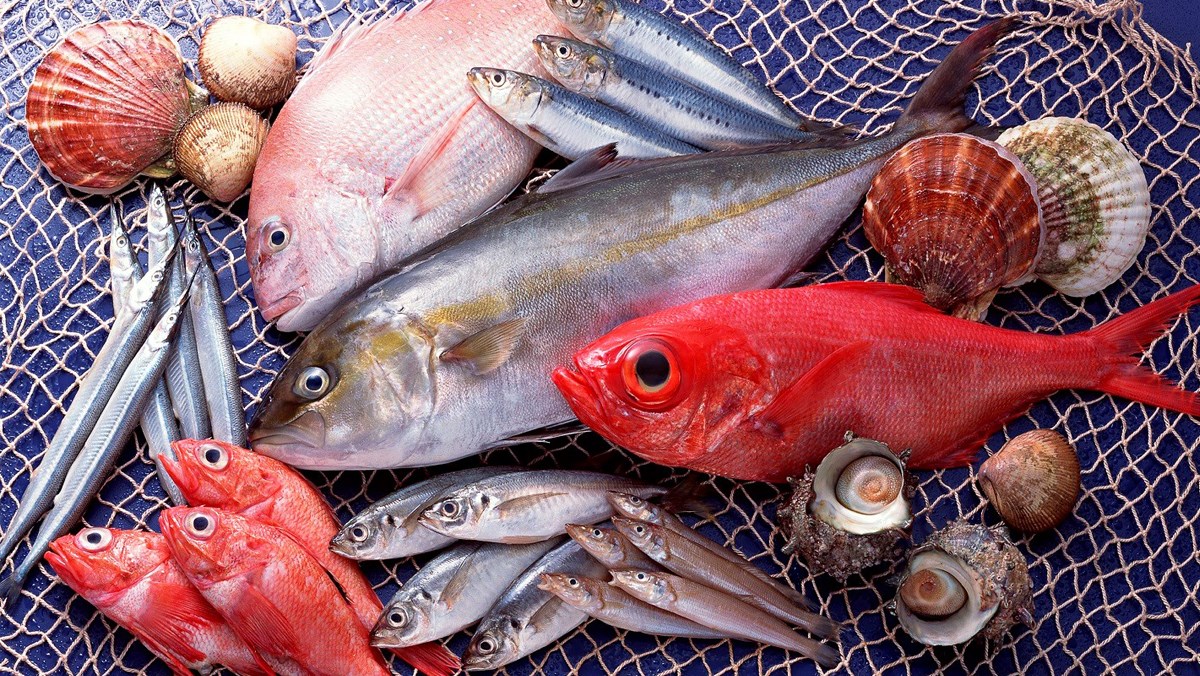 Những thực phẩm cá giàu dinh dưỡng omega-3 