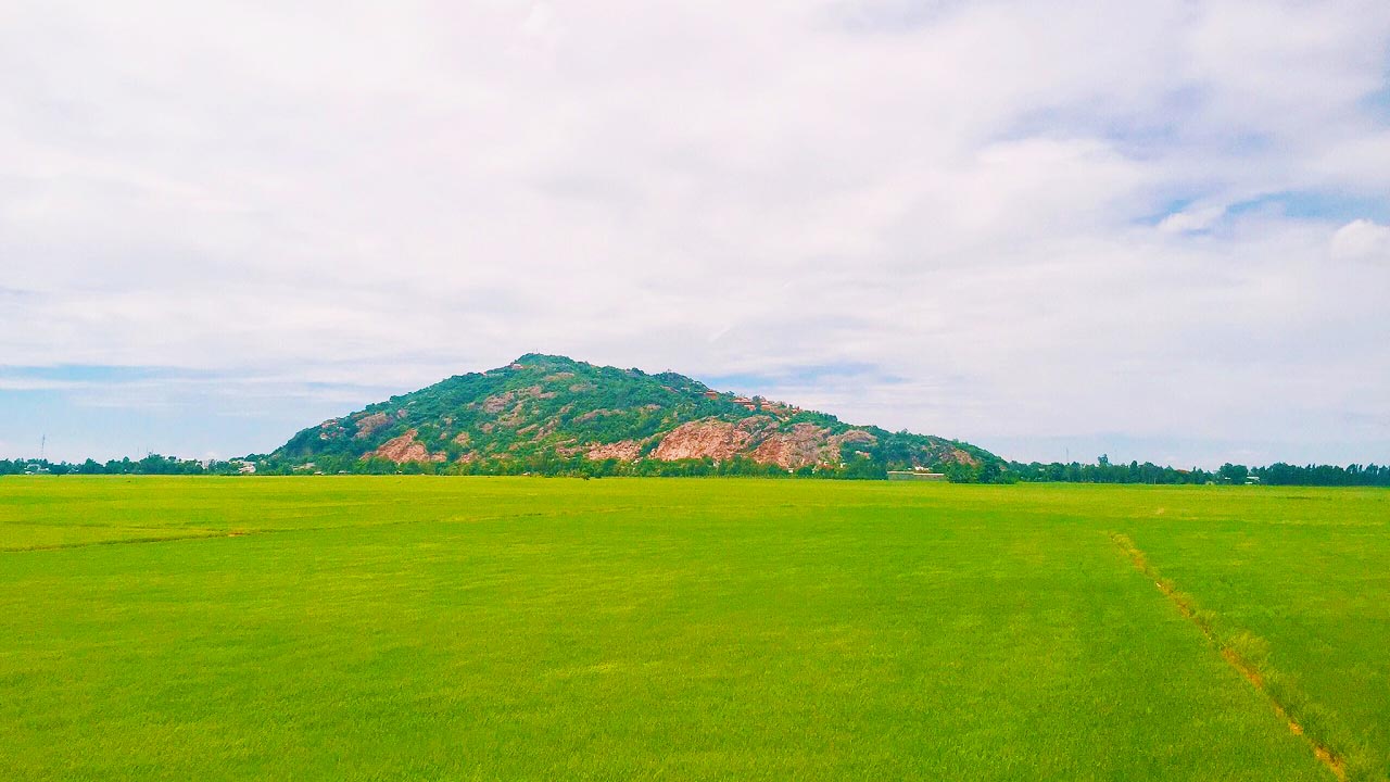 Núi Sam có cánh đồng xanh mướt mát