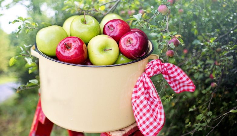 Quả táo có tốt cho các mẹ bầu và thai nhi không?